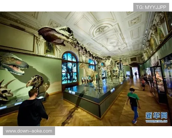 丝路岩魂陕西历史博物馆揭示古今攀岩工具演变之旅